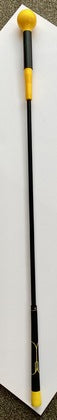 Swing Trainer with Graphite Shaft
